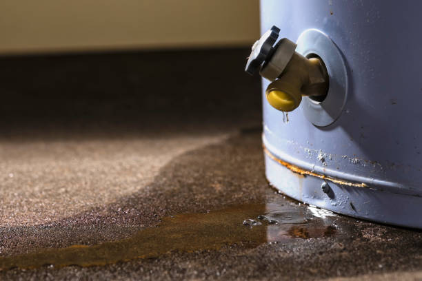 Best 24/7 water damage repair  in Escanaba, MI