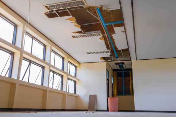 Best Sewage cleanup and water damage restoration  in Escanaba, MI