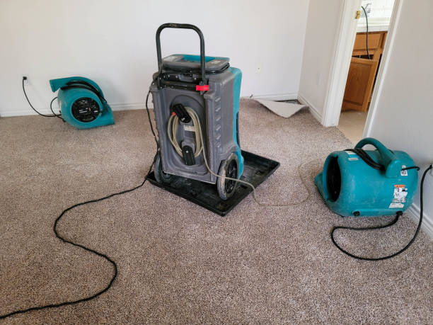 Best Water damage cleanup near me  in Escanaba, MI