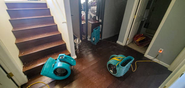 Best Flooded house restoration  in Escanaba, MI