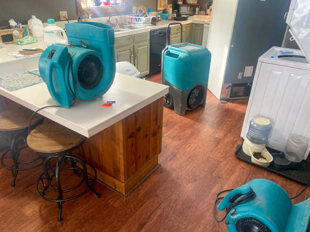Best Water damage contractors near me  in Escanaba, MI