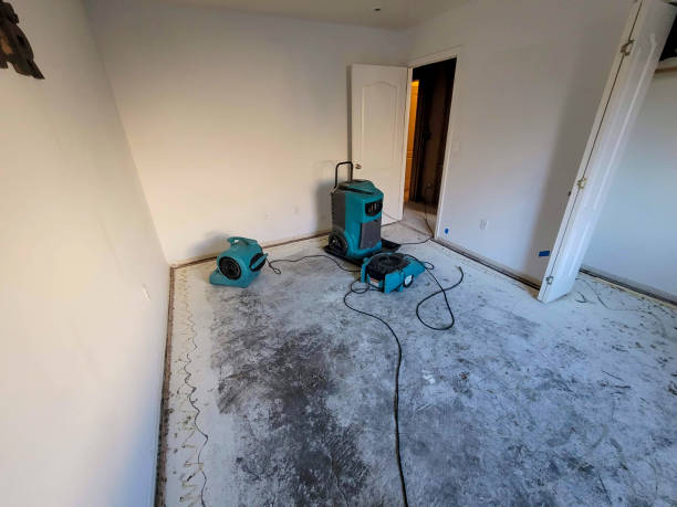  Escanaba, MI Water damage restoration Pros