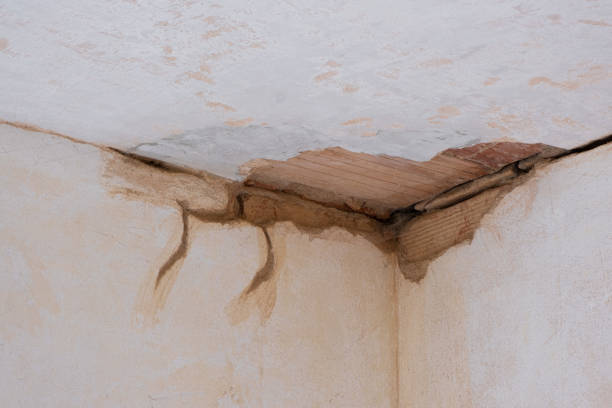 Best Water damage restoration cost  in Escanaba, MI