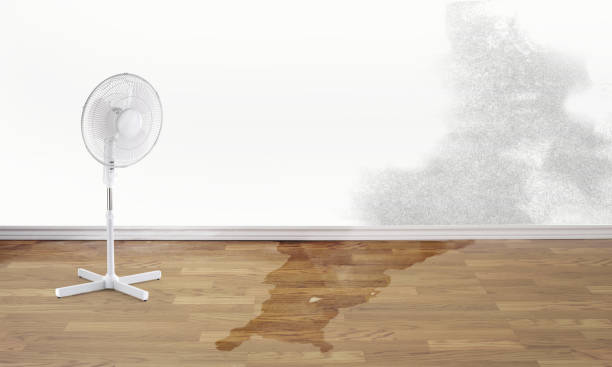 Best Water damage restoration near me  in Escanaba, MI