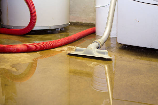 Best Water damage restoration process  in Escanaba, MI
