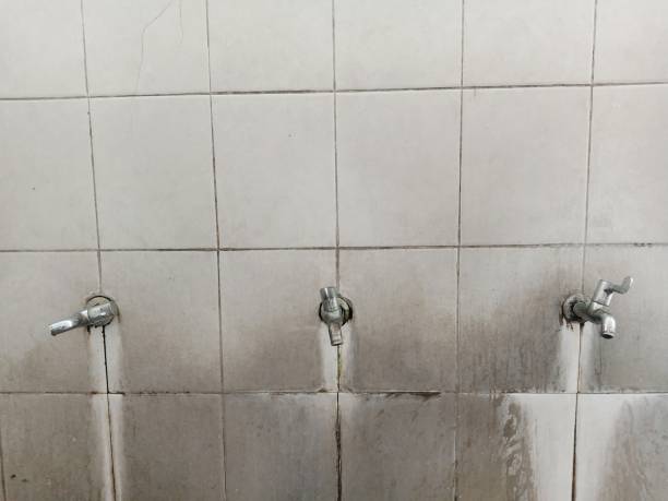 Best Flood restoration services  in Escanaba, MI