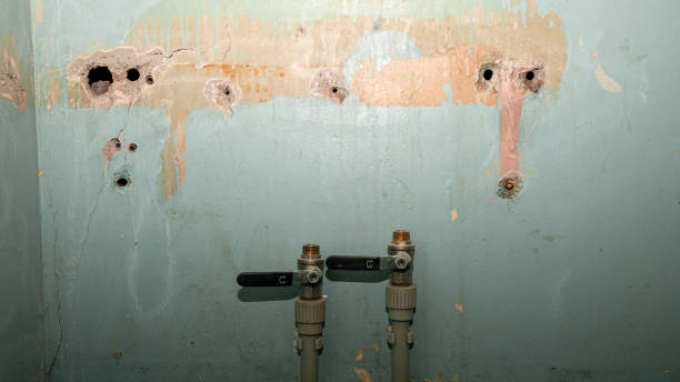 Best Water damage contractors near me  in Escanaba, MI