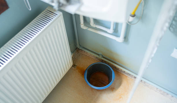 Best Residential water damage restoration  in Escanaba, MI