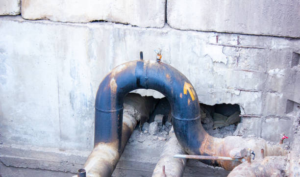 Best Flood restoration services  in Escanaba, MI