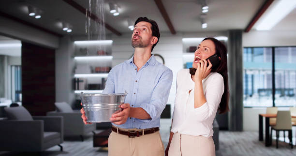 Best Residential water damage restoration  in Escanaba, MI