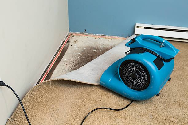 Best Local water damage restoration  in Escanaba, MI